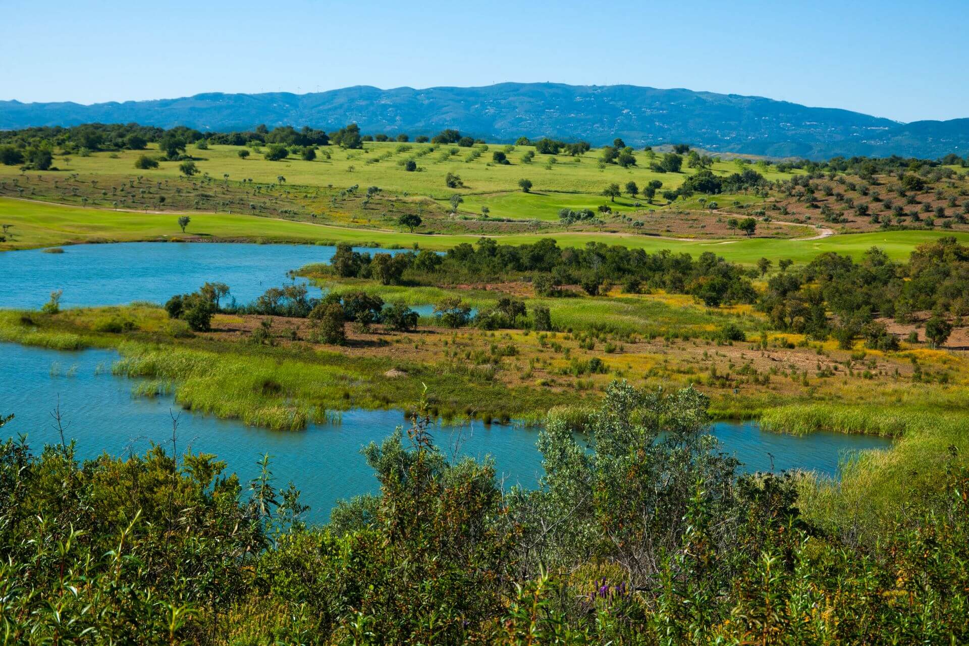 Alamos Golf Course