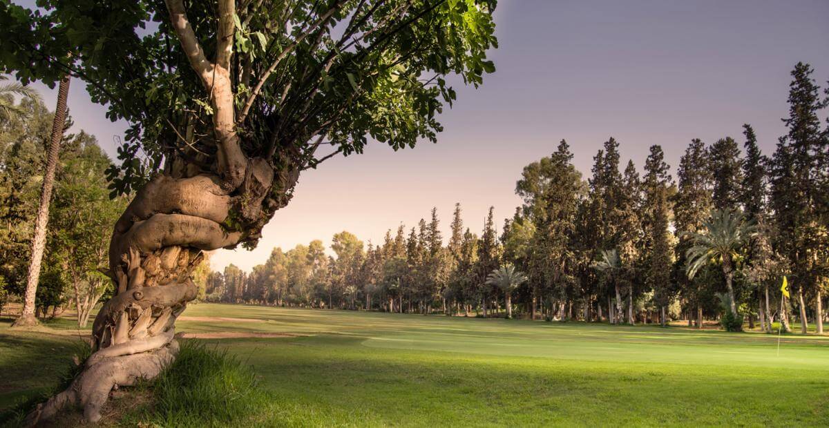 Royal Golf Marrakech