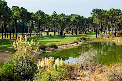 Alamos Golf Course Golf Course in Portugal