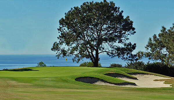 Torrey pines south 621aa9d9 0502 4167 abc6 a304bb8025ee
