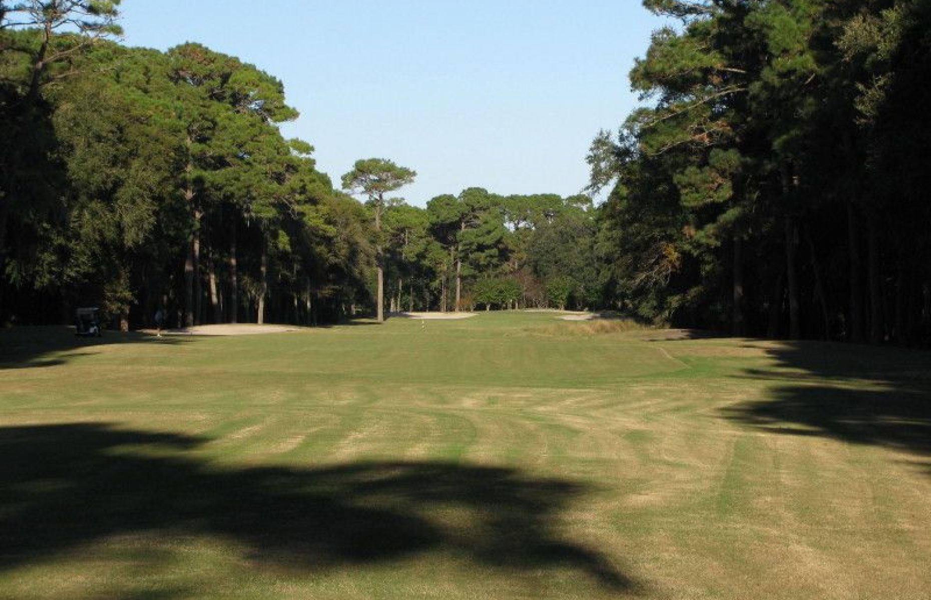 Planters Row Golf Course in USA