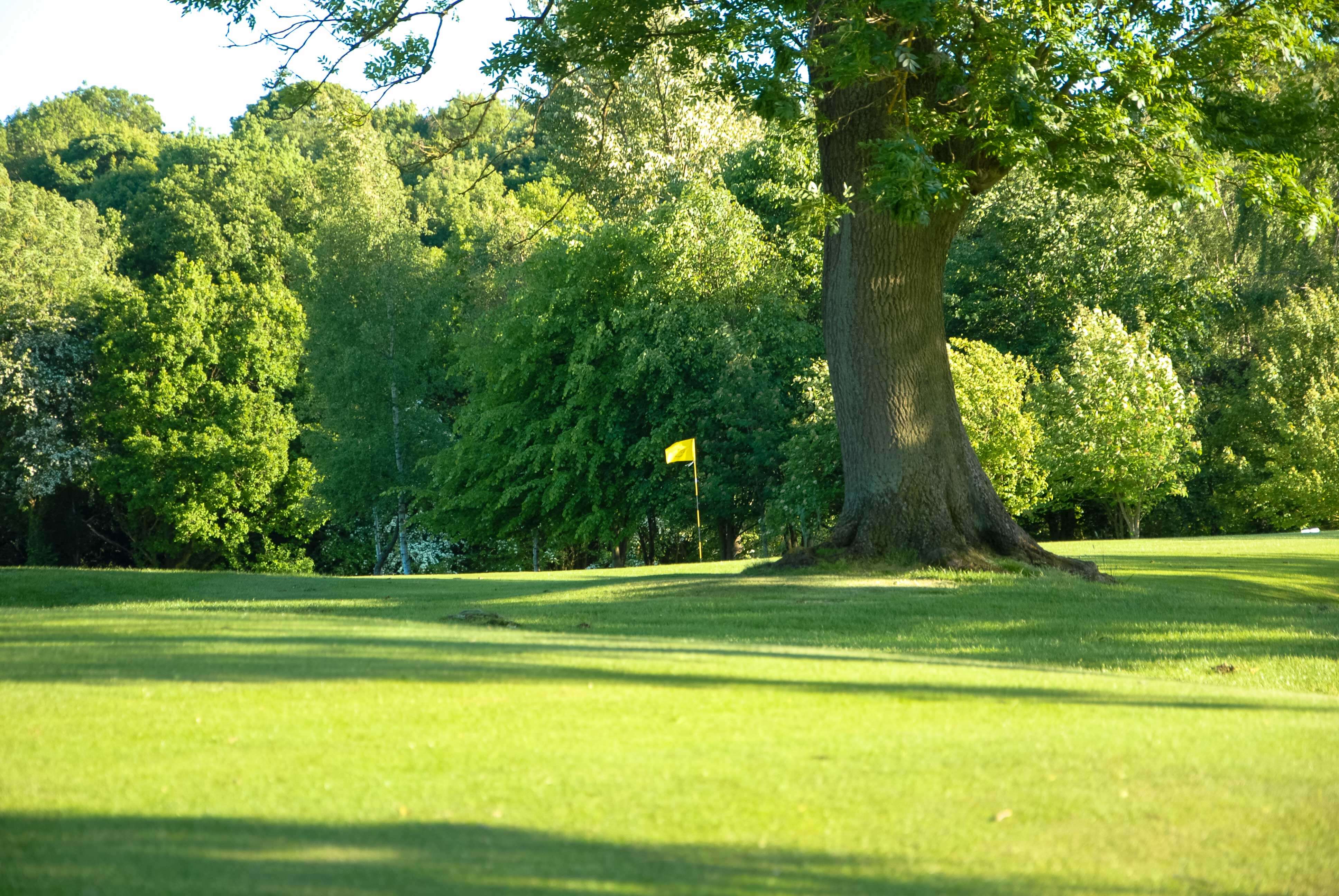 Alfreton Golf Course