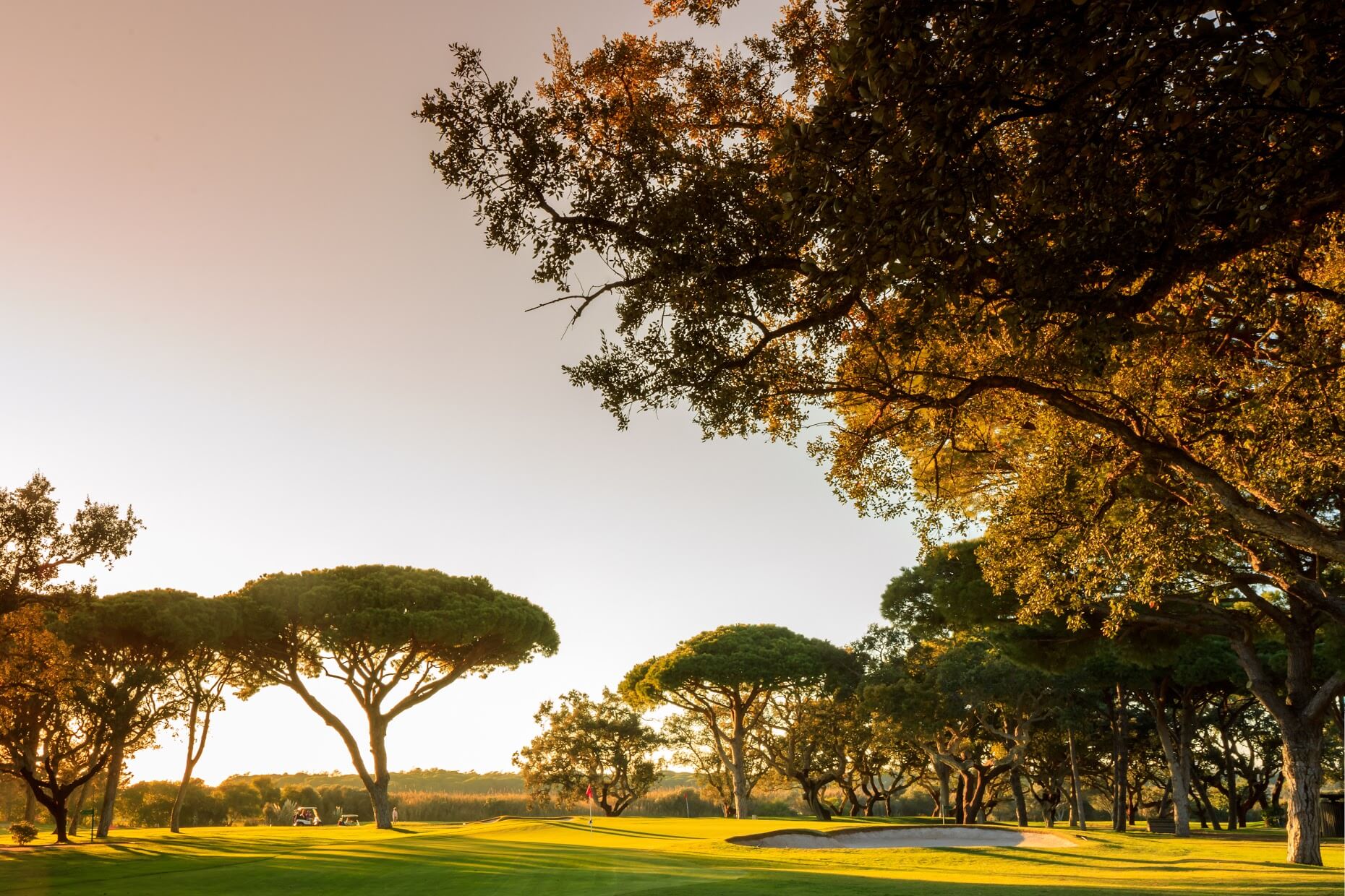 How many golf courses are there in Majorca?
