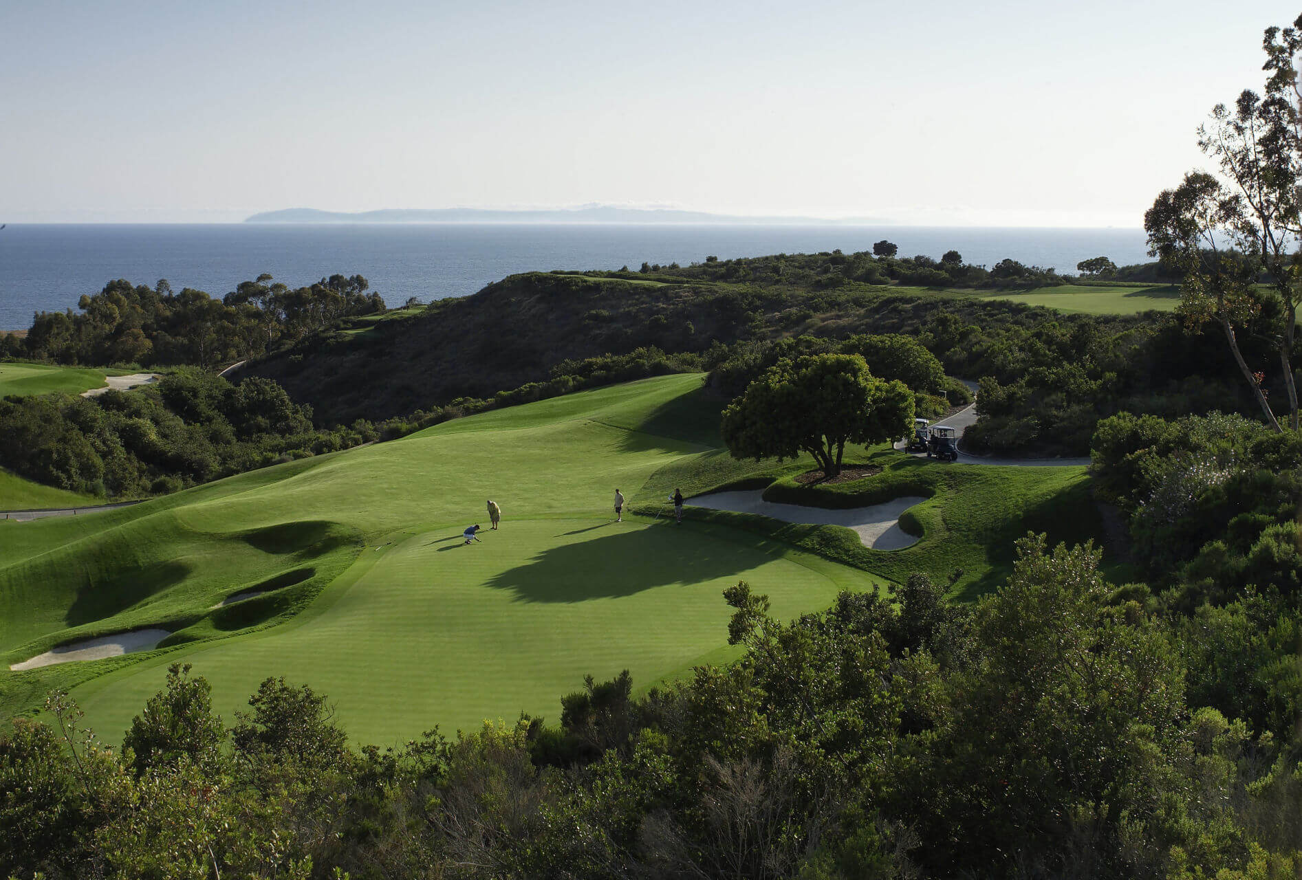 The resort at pelican hill 3 1