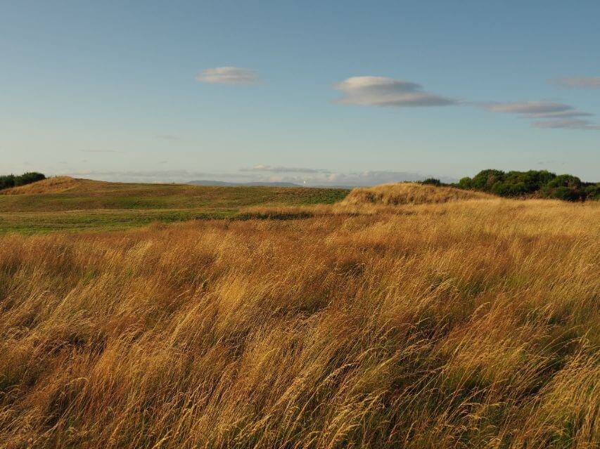 Tain Golf Course
